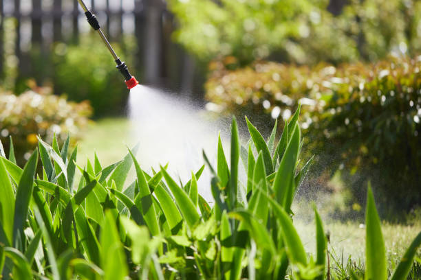 24/7 Emergency Fumigation Services experts in Villa Ridge, MO