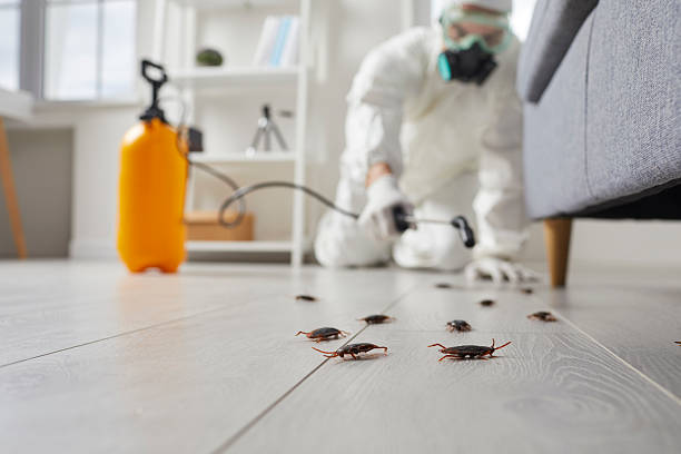 Trusted Fumigation Services service in Villa Ridge, MO - Nex Pest Control