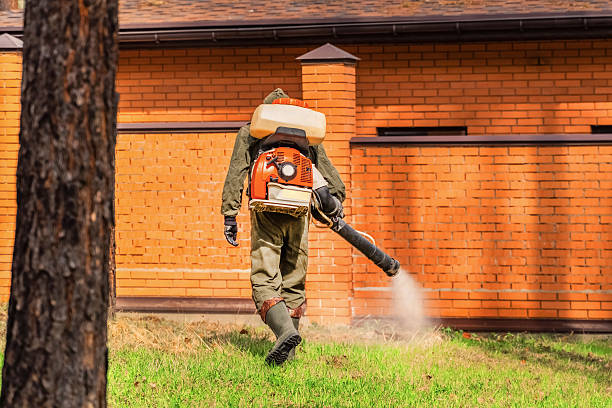 Trusted Rodent Control service in Villa Ridge, MO - Nex Pest Control